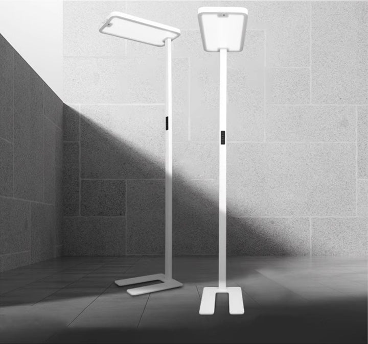 E-reading Floor Lamp